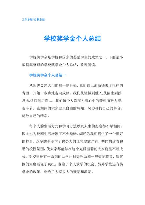 学校奖学金个人总结.doc