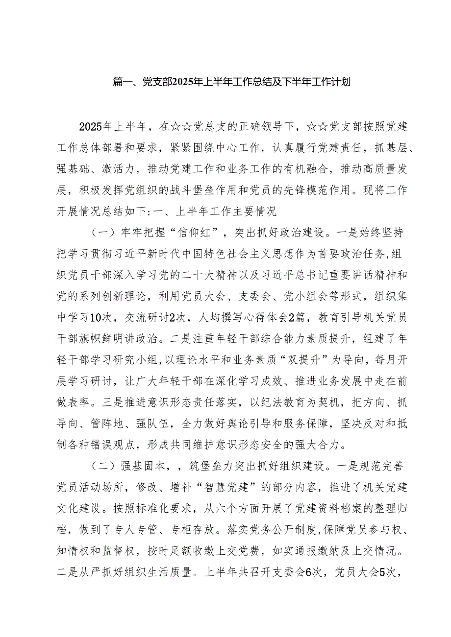 (12篇)党支部2025年上半年工作总结及下半年工作计划精选通用.docx_第2页