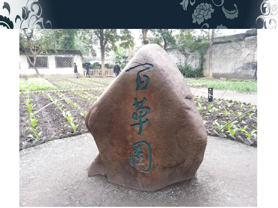 名人介绍英文版.ppt_第2页