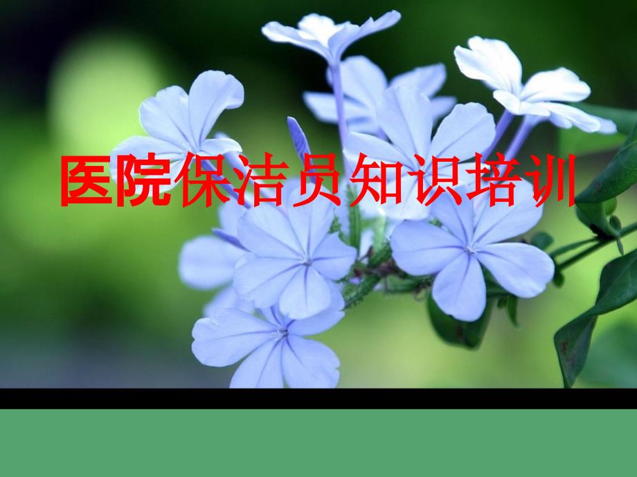医院保洁员培训课件.ppt_第1页