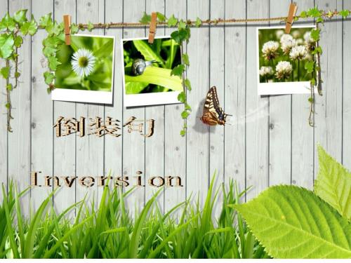 初中语法倒装句PPT课件.ppt