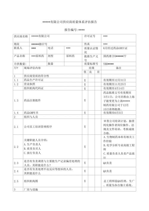 原料药供应商审计报告样本.doc