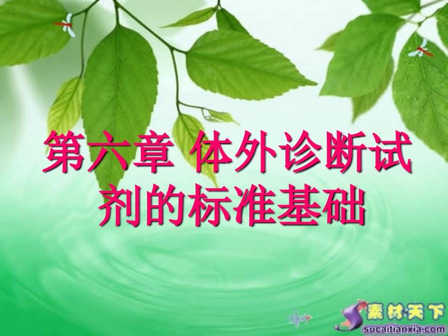 体外诊断试剂的标准基础.ppt_第1页