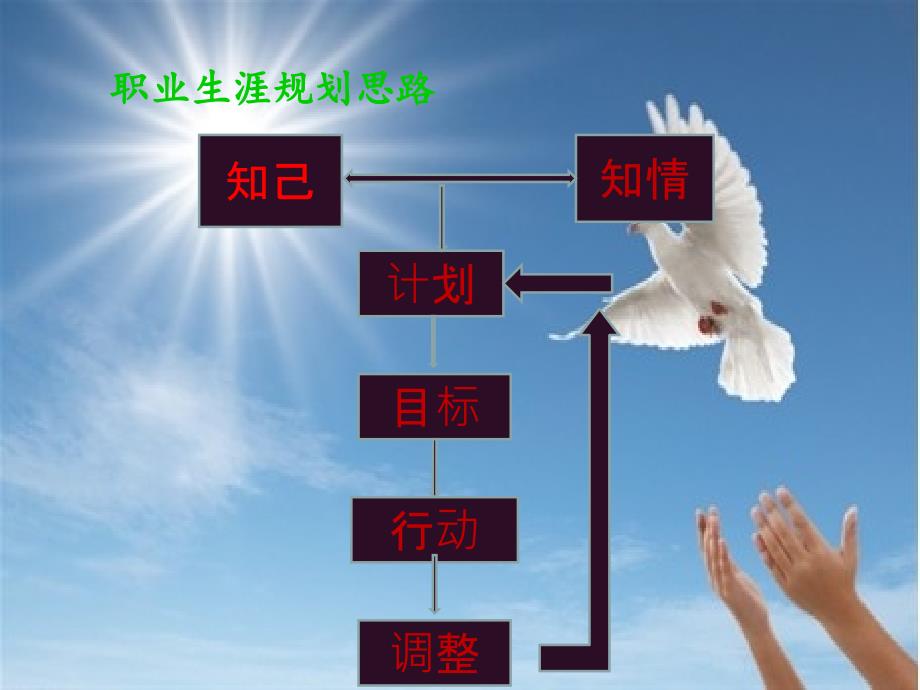 中药学大学生职业生涯规划.ppt_第2页