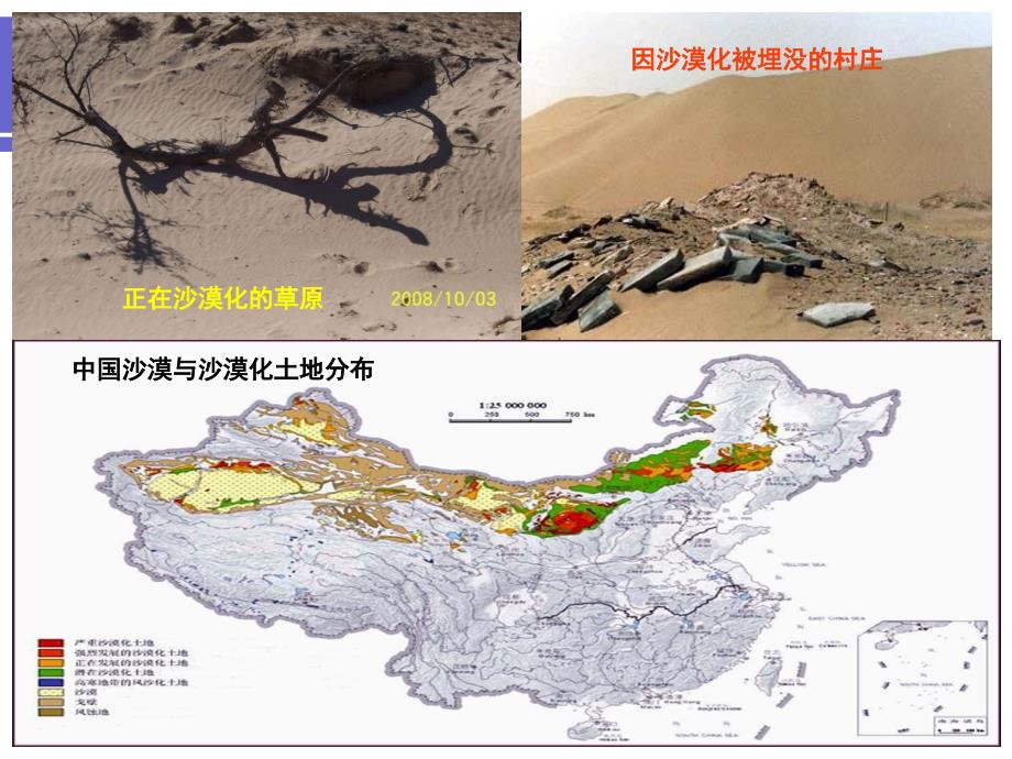 农业可持续发展PPT课件.ppt_第2页