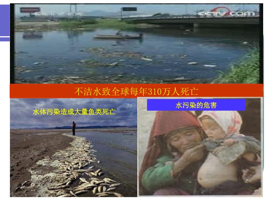 农业可持续发展PPT课件.ppt_第3页