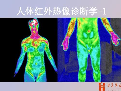 人体红外热像诊断学ppt课件.ppt
