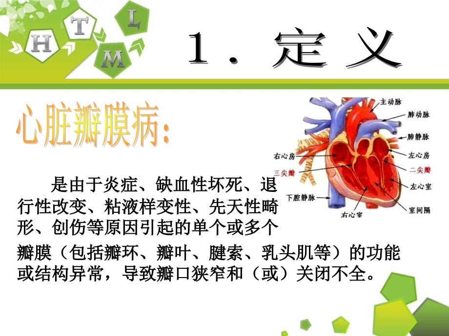 主动脉瓣关闭不全的护理.ppt_第3页