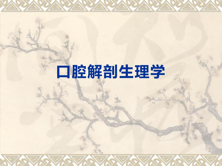 口腔解剖生理学.ppt_第1页