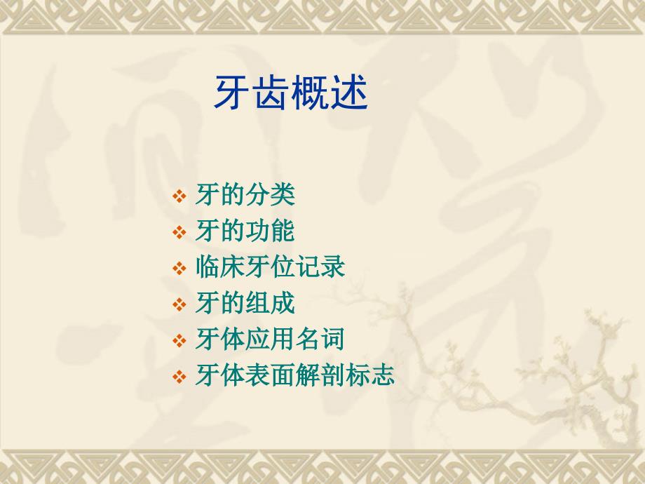 口腔解剖生理学.ppt_第2页