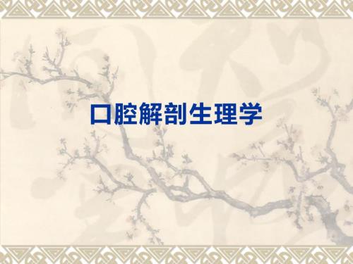 口腔解剖生理学.ppt