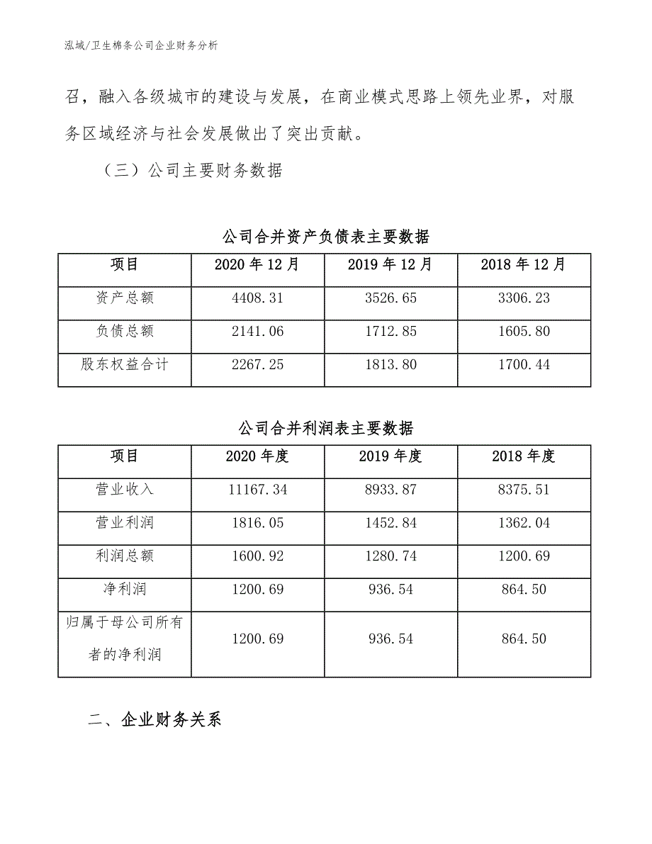 卫生棉条公司企业财务分析.docx_第3页