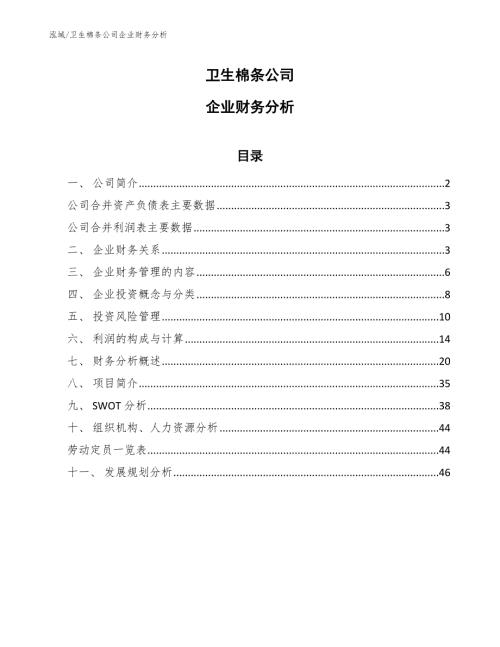 卫生棉条公司企业财务分析.docx