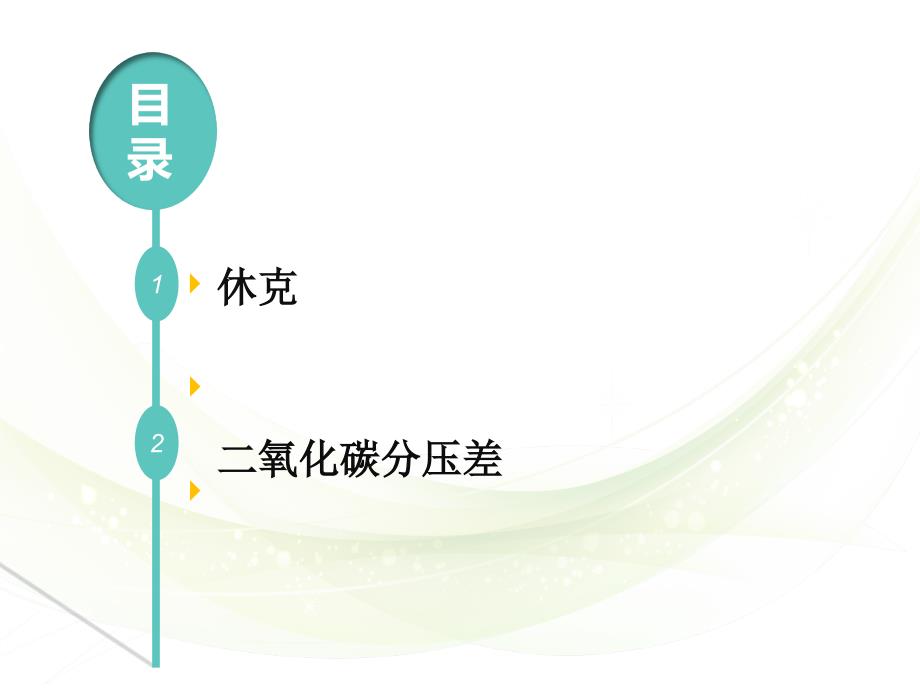 动静脉二氧化碳分压差课件.ppt_第2页