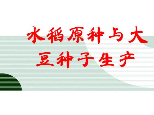 大豆水稻原种生产PPT课件.ppt