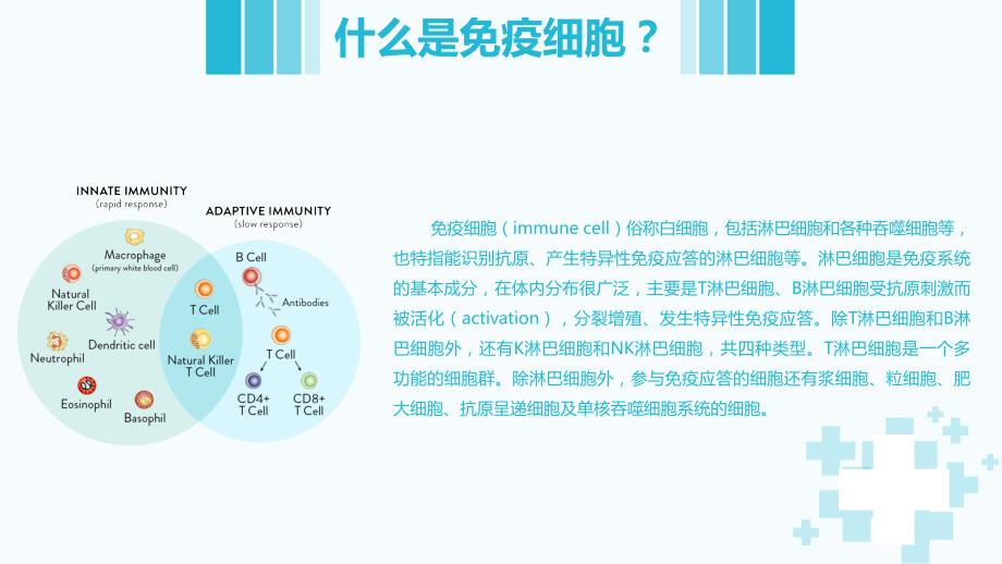 免疫细胞存储PPT课件.ppt_第2页