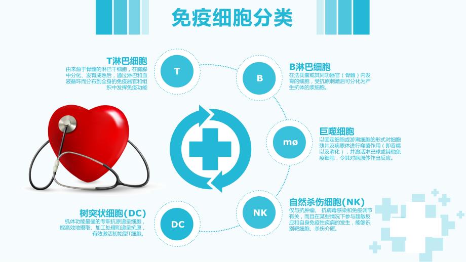 免疫细胞存储PPT课件.ppt_第3页