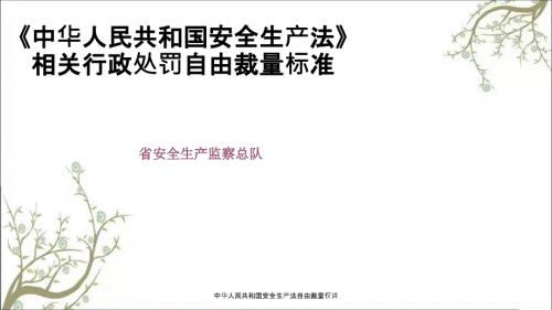 中华人民共和国安全生产法自由裁量权讲PPT课件.ppt