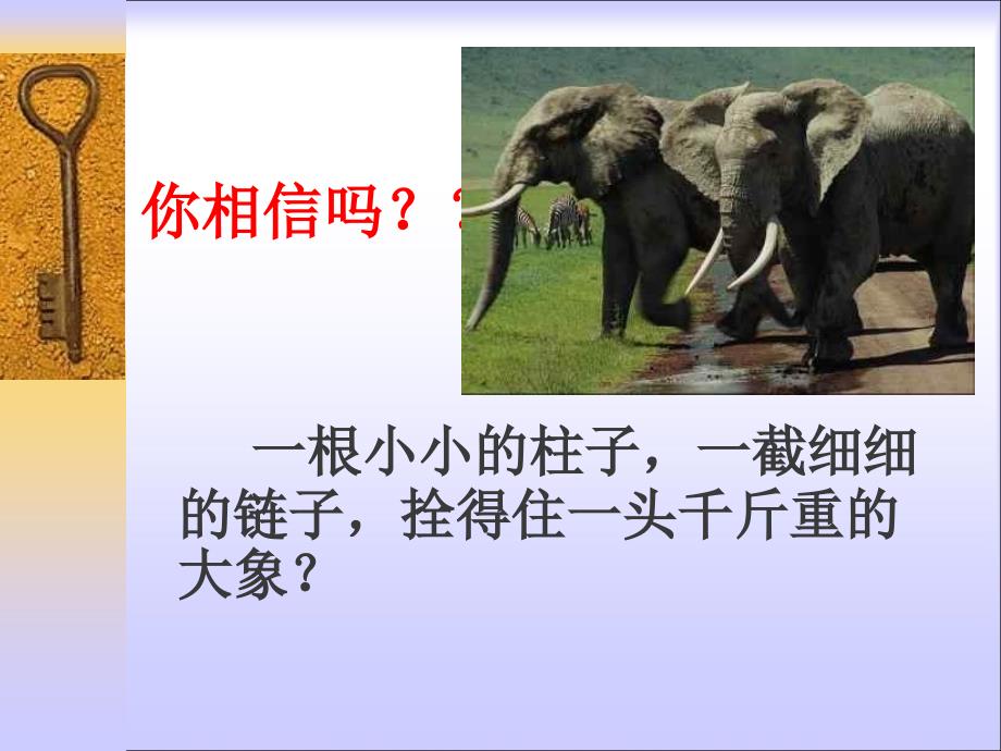 养成良好习惯主题班会课件.ppt_第3页