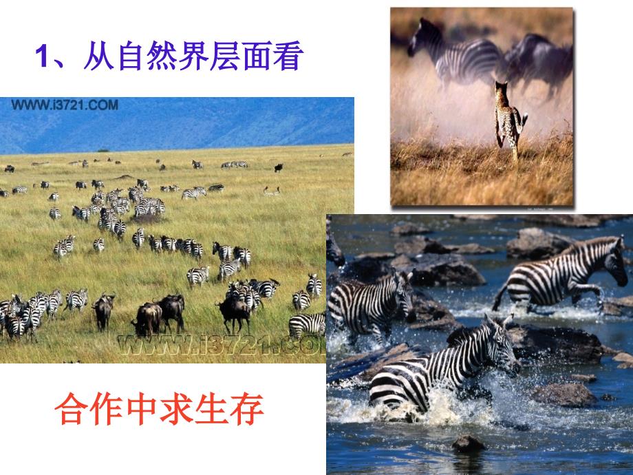 周竞争合作主题班会.ppt_第3页