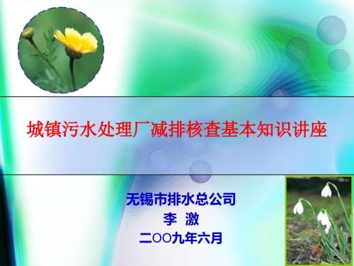 城镇污水处理厂工艺全套ppt.ppt