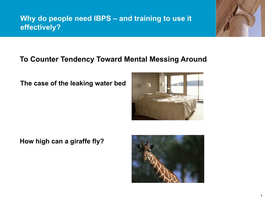 埃森哲问题分析法教材AccentureIBPSSkillBuilderPPT课件.ppt_第2页