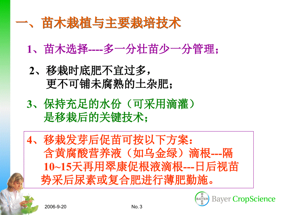 南方葡萄栽培技术及病虫害防治.ppt_第3页