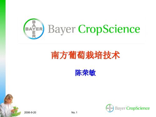 南方葡萄栽培技术及病虫害防治.ppt