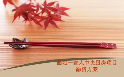 中央大厨房.ppt