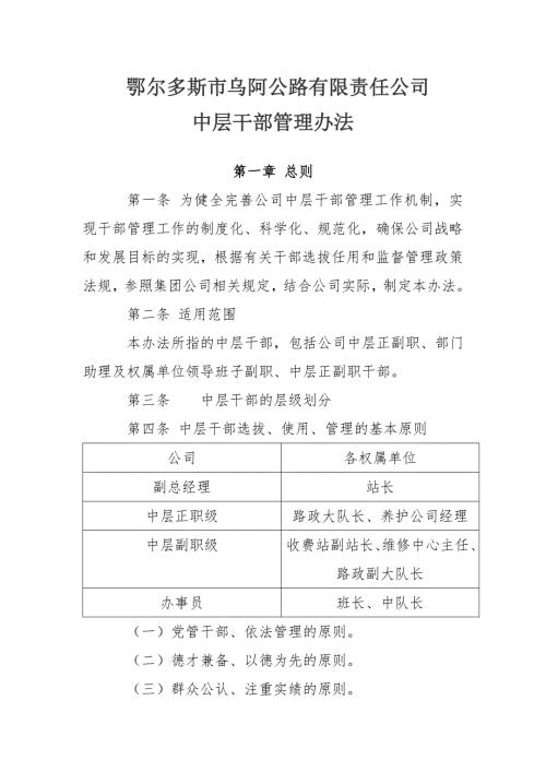 公司中层干部管理办法.doc