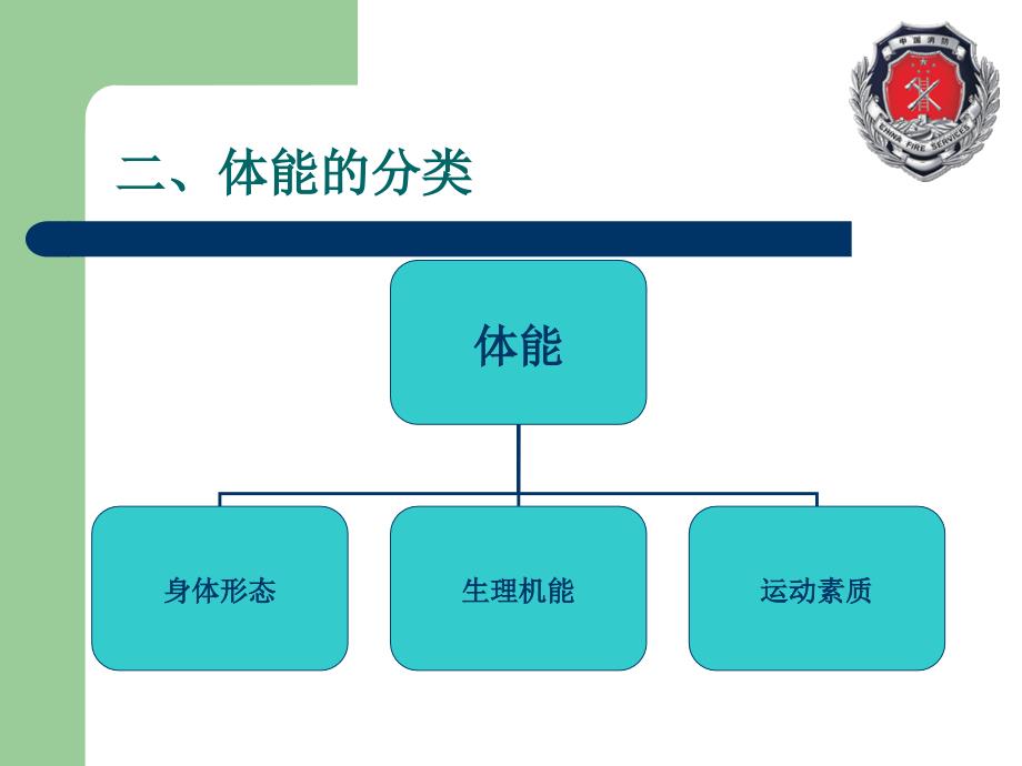 体能训练课件PPT课件.ppt_第3页