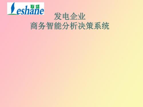 发电企业智能分析决策系统.ppt