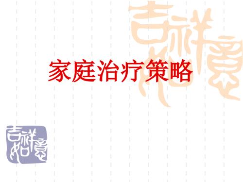 家庭治疗策略PPT课件.ppt