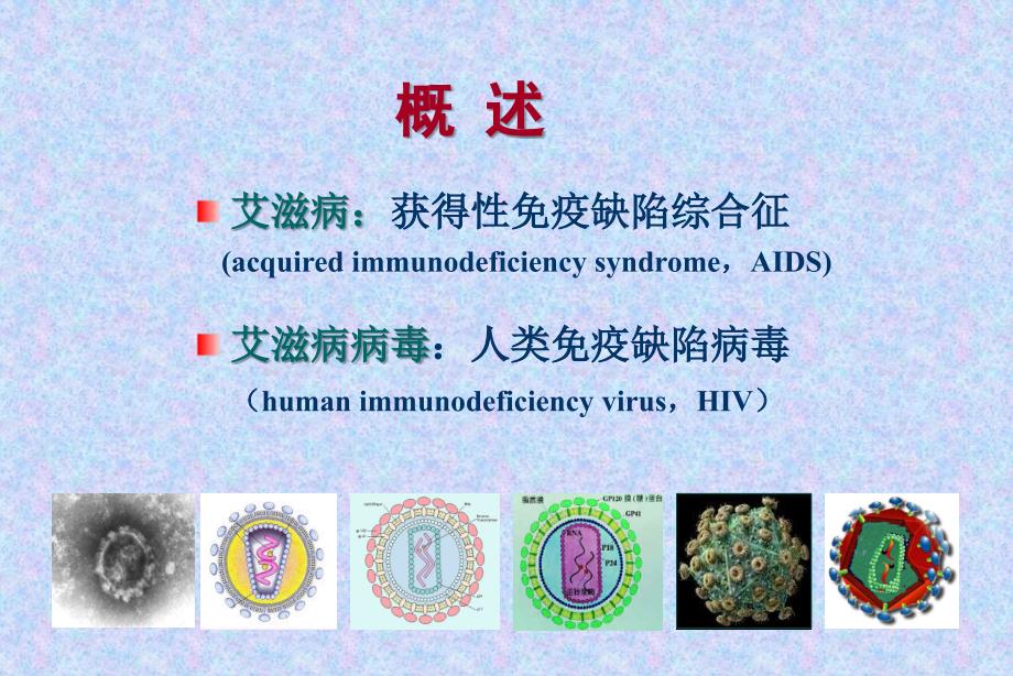 传染病学艾滋病.ppt_第2页