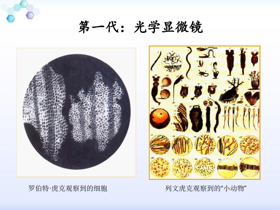 原子力显微镜PPT课件.ppt_第3页