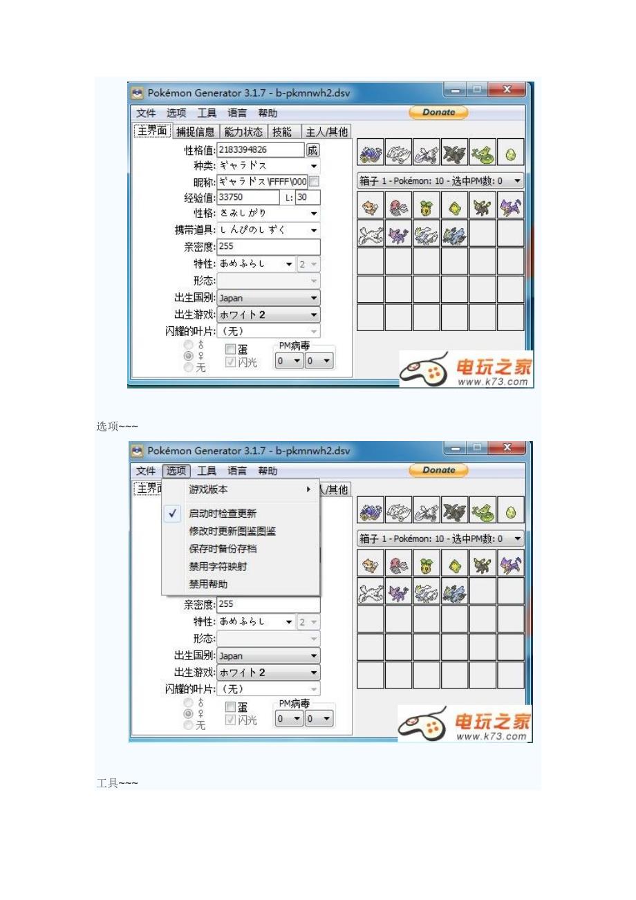 口袋妖怪黑白2汉化版存档修改器3.19版附图文教程.doc_第3页