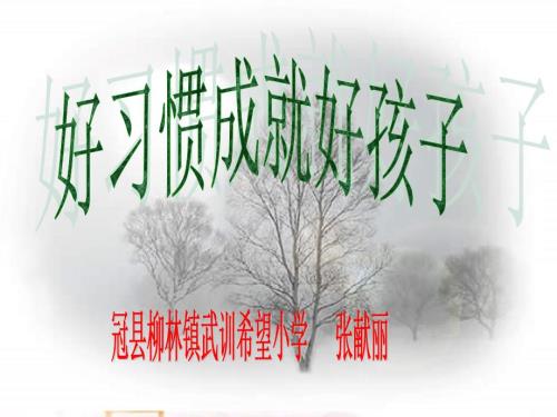 好习惯成就好孩子PPT献丽.ppt