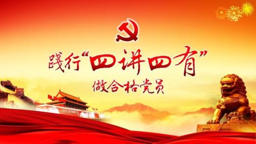 四讲四有党课ppt模板践行四讲四有做合格党员主题教育学习活动ppt模版63045587.ppt
