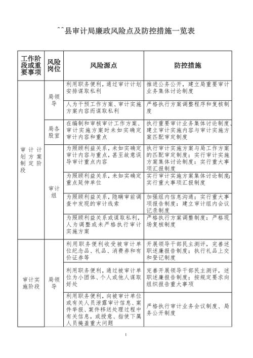 审计局廉政风险点及防控措施一览表.doc