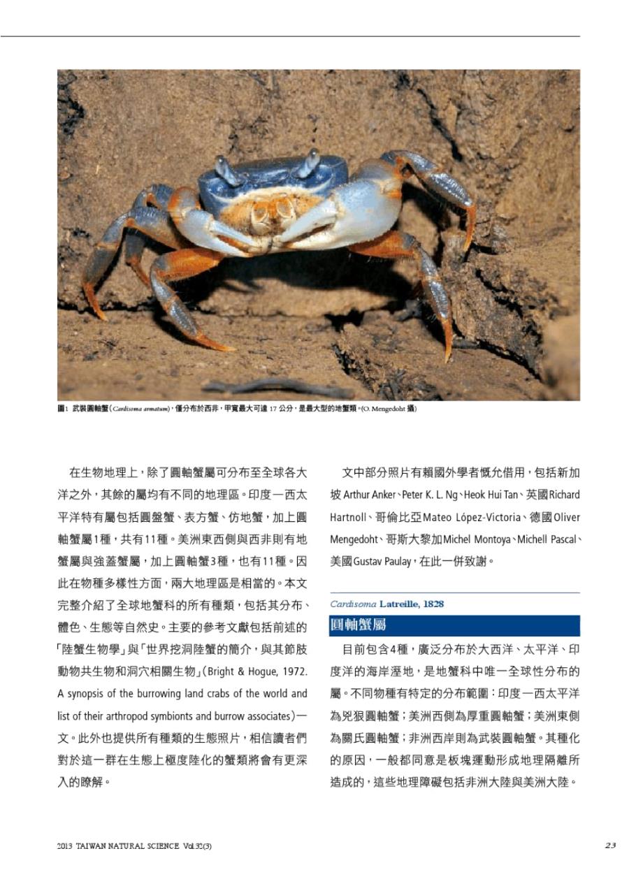 全球地蟹科陆蟹之简介.doc_第2页