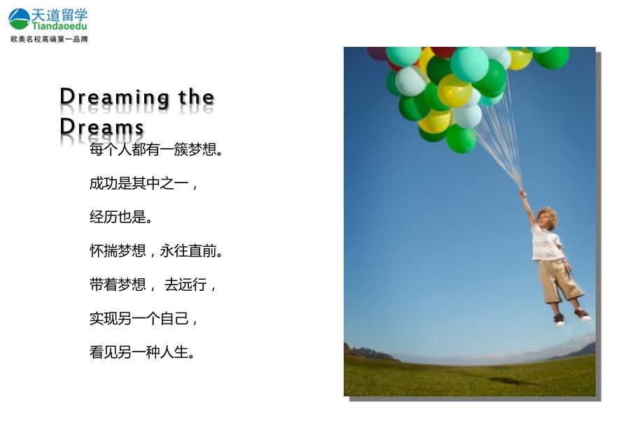 天道留学宣传PPT.ppt_第2页