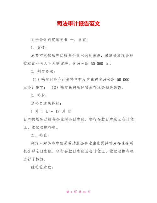 司法审计报告范文.doc