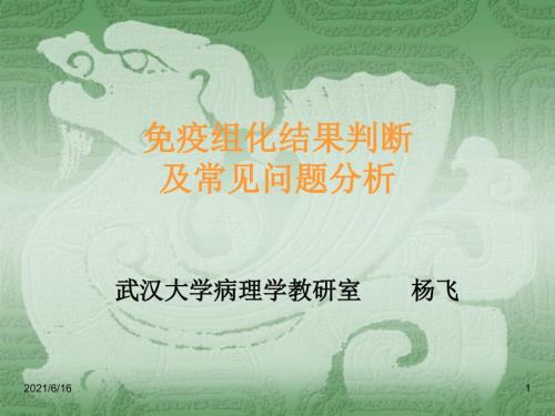 免疫组化结果判断及常见问题的分析.ppt