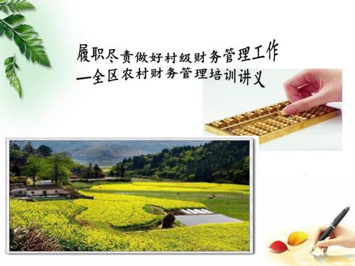 农村级财务管理培训PPT课件.ppt