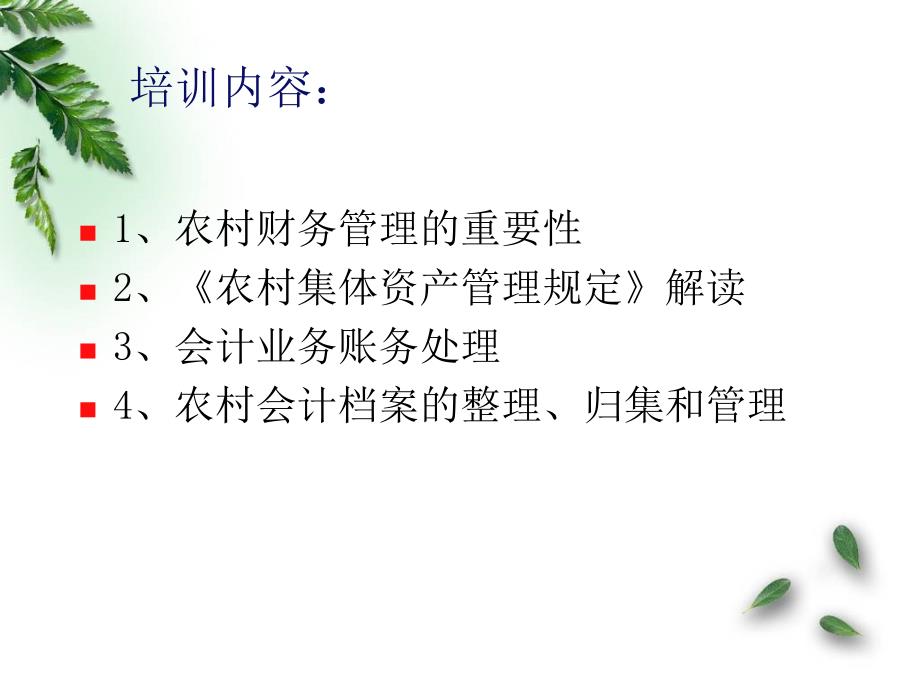 农村级财务管理培训PPT课件.ppt_第2页