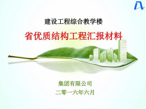 优质结构工程汇报.ppt