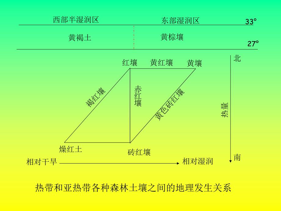 土壤学第九章黄棕壤和黄褐土.ppt_第1页