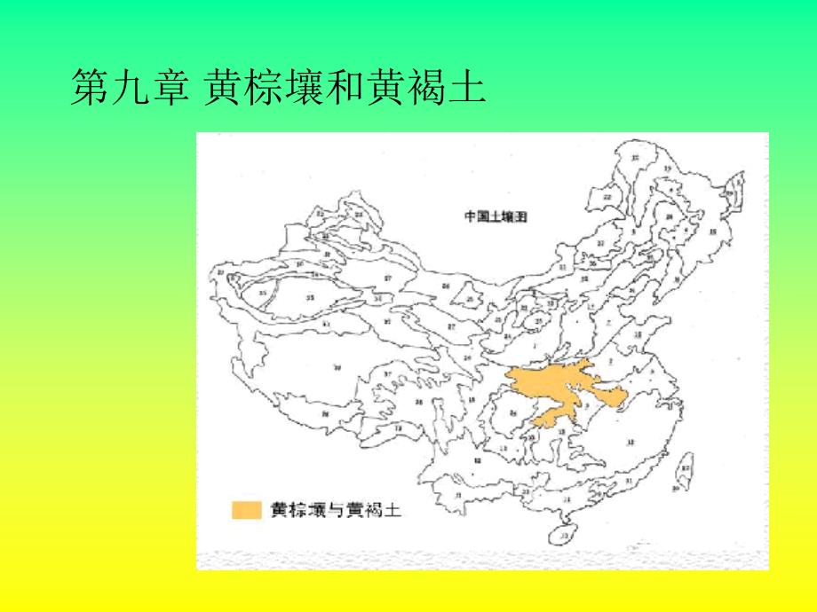 土壤学第九章黄棕壤和黄褐土.ppt_第2页