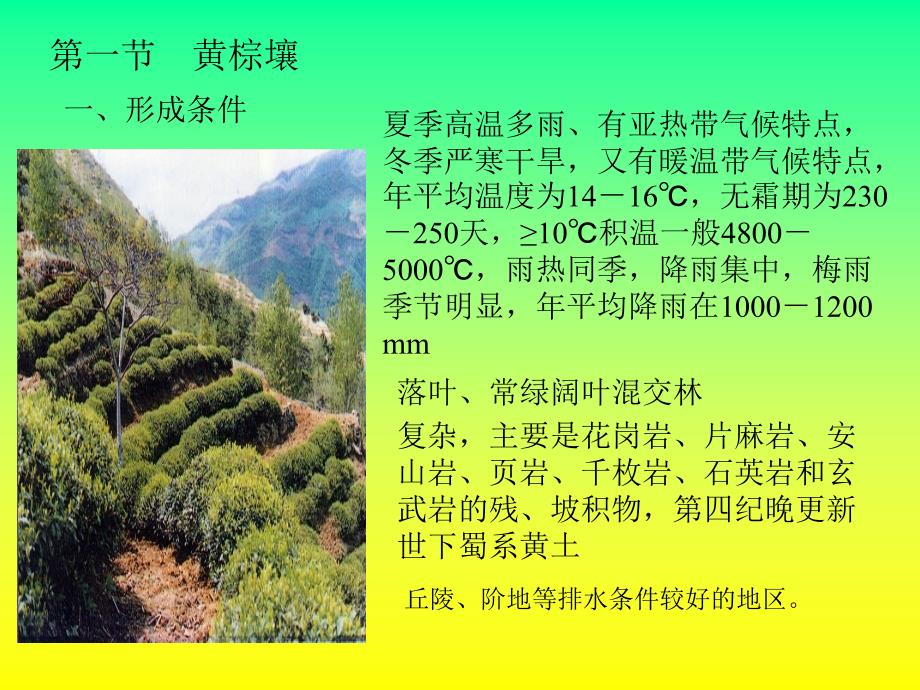 土壤学第九章黄棕壤和黄褐土.ppt_第3页