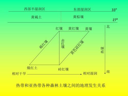 土壤学第九章黄棕壤和黄褐土.ppt